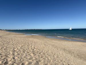 8am Xmas morning. First dip of the day. Expected high of 41